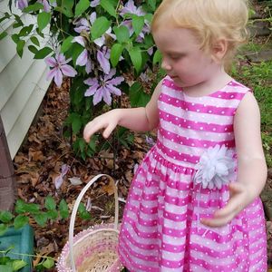 Meet your Posher, Elissa